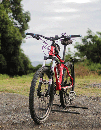 Mountainbike-2022-29-Zoll-Gutscheine-Mycouponis